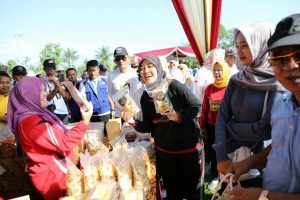 Dengan Bekerja Keras, Wagub Nunik Yakin Pesisir Barat Mampu Wujudkan Kabupaten Layak Anak 2020