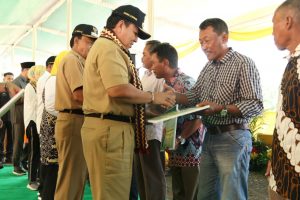 Hadiri Panen Raya, Arinal Apresiasi Petani Metro