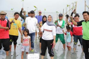 Cegah Abrasi Pesisir Pantai, Wagub Chusnunia Lakukan Penanaman Mangrove di Pantai Mutiara Lampung Timur