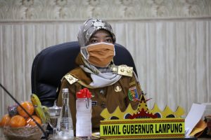 Musrenbang Lampung Barat via virtual meeting, Wagub Chusnunia Dorong Jajaran Pemkab Jaga Pertumbuhan Ekonomi di Tengah Pandemi Covid-19