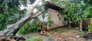 Puting beliung di Tulang Bawang hancurkan ratusan rumah dan hilangkan 2 nyawa
