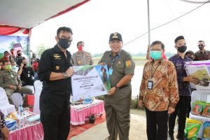 Mentan Syahrul Yasin Limpo dan Gubernur Arinal Turun Langsung ke Sawah, Buktikan Kekuatan Lampung sebagai Sentra Pangan Nasional