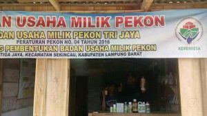 Bumdes Pekon Tiga Jaya Terus Mengembangkan Hasil Laba