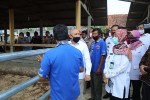 Kemenkop UKM dan Pemprov Lampung Bidik Peternak Bentuk Holding Usaha Koperasi