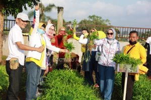 Galakan Olahraga dan Wisata Keluarga, Ibu Riana Arinal Ajak Seluruh Organisasi Wanita Senam dan Masak bersama di Agro Park PKK