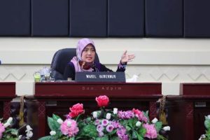 Pulihkan Perekonomian Mikro, Kecil dan Menengah, Pemprov Dorong Kabupaten/Kota Beri Stimulus Koperasi dan UMKM Terdampak Covid-19