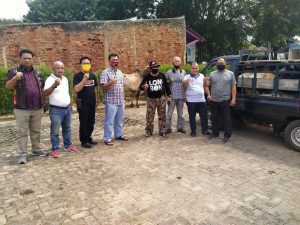 Idul Adha Bakal calon Walikota Rycko Menoza qurban 7 ekor sapi