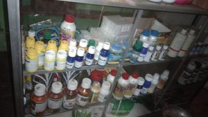 Bumdes Pekon Trimulyo Berhasil Mendapatkan Laba