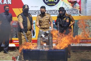 Upayakan Peningkatan Penerimaan Negara, Gubernur Arinal Pimpin Pemusnahan Rokok dan Minuman Keras Ilegal