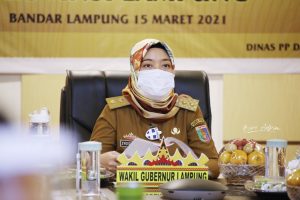 Wagub Chusnunia Dorong Jajaran di Pemprov dan Kabupaten/Kota Kembali Meraih Penghargaan Anugerah Parahita Ekapraya Tahun 2021