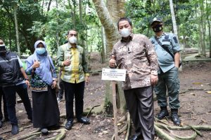Gubernur Arinal Launching Pusat Inkubasi Tanaman Nusantara di Tahura Wan Abdul Rachman