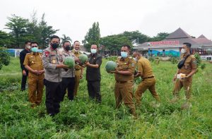 Kunker, Kopolda Lampung Panen Semangka hinggq makan bakso ditaman Edukasi