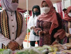 Bugisa program unggulan lomba Desa tingkat Provinsi