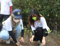 Bukan Hanya Kelola Listrik, PLN Turut Jaga Kelestarian Ekosistem Hutan Mangrove