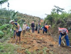 Pemangku 2 pekon Batukebayan masyarakat nya adakan gotong royong