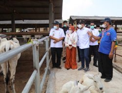 Kunjungi Desa Tanjung Sari Lampung Selatan, Mendes PDTT Abdul Halim Iskandar Apresiasi Sistem Manajemen KPT Maju Sejahtera