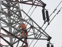 Cadangan Daya Lebih Dari 50 Persen, PLN Siap Sambut Investor ke Indonesia