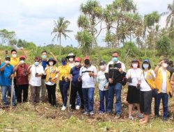 Lestarikan Alam, Lions Club JPJJ Bersama PT Indonesian Evergreen Tanam 1.000 Pohon Mangrove di Kampung Ketang Kalianda