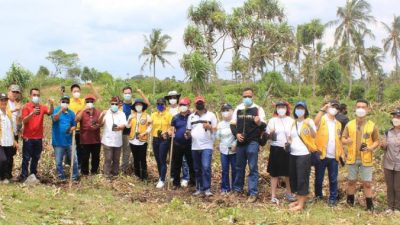 Lestarikan Alam, Lions Club JPJJ Bersama PT Indonesian Evergreen Tanam 1.000 Pohon Mangrove di Kampung Ketang Kalianda