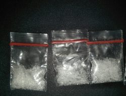 Polsek Teluk Betung Utara Berhasil Menangkap Seorang di Duga Pengedar Narkotika