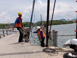 Investasikan Rp 580 Juta, PLN Percepat Pembangunan Infrastruktur Kelistrikan Ke Pulau Pasaran Lampung