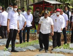 Lampung Selatan Optimis Raih Juara Dalam Lomba Desa Tingkat Provinsi Lampung