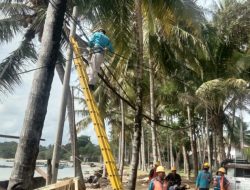 Sukseskan Ajang World Surf League Krui Pro 2022, PLN Siapkan Jaringan Listrik Andal di Pesisir Barat Lampung