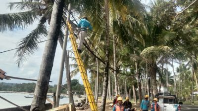 Sukseskan Ajang World Surf League Krui Pro 2022, PLN Siapkan Jaringan Listrik Andal di Pesisir Barat Lampung