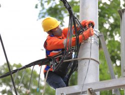 Transformasi Layanan ke Pelanggan Bawa PLN Cetak Kinerja Terbaik Sepanjang Sejarah