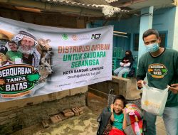 Jelang Idul Adha, Global Qurban ACT ajak Masyarakat Lampung Bagikan Daging Qurban sampai pelosok Negeri dan Dunia