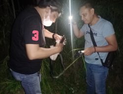 Unit Reskrim Polsek Panjang Temukan Senjata Api Rakitan Jenis Pistol