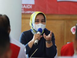 Peringati Hari Donor Darah Sedunia Tahun 2022, Ketua PMI Provinsi Lampung Nobatkan Duta Donor Darah Lampung