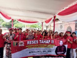 Aprilliati Reses, Sentuh Organisasi Pemuda Batak Bersatu