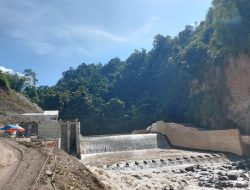 Tambah 2 Pembangkit EBT Baru, PLN Perkuat Pasokan Listrik Hijau di Lampung