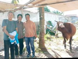 Gubernur Lampung Bantu 1 Ekor Sapi Qurban di Masjid Baitunnur