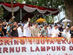 Gubernur Arinal Tebar 1 Juta Benih Ikan di Kabupaten Tulang Bawang, Upaya Wujudkan Perikanan Lestari untuk Lampung Berjaya dan Indonesia Maju