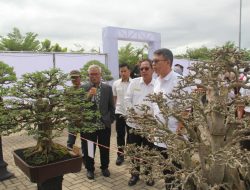 Meriahkan Dies Natalis ke-8 ITERA Gelar Pameran dan Workhsop Tanaman Bonsai