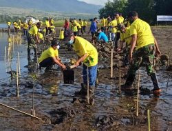 ASDP Akselerasi Program Penanaman Mangrove untuk Tekan Emisi Karbon