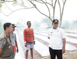 Bupati Tinjau Progres Program Petani Milenial