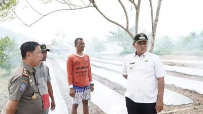 Bupati Tinjau Progres Program Petani Milenial