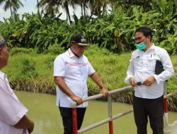 Bupati Lampung Selatan H. Nanang Ermanto Bakal Melebarkan Jembatan Penghubung Dusun 3 di Desa Berundung Kecamatan Ketapang