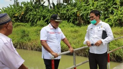 Bupati Lampung Selatan H. Nanang Ermanto Bakal Melebarkan Jembatan Penghubung Dusun 3 di Desa Berundung Kecamatan Ketapang