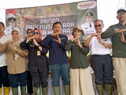 Wakili Gubernur, Asisten Bidang Perekonomian dan Pembangunan Hadiri Panen Raya Nusantara di Kelompok tani Adem Ayem Lampung Tengah