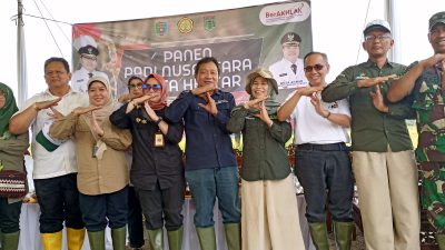 Wakili Gubernur, Asisten Bidang Perekonomian dan Pembangunan Hadiri Panen Raya Nusantara di Kelompok tani Adem Ayem Lampung Tengah