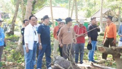 Bupati Pesisir Barat Tinjau Lokasi Para Pelaku UMKM Pada Pagelaran Event WSL KRUI PRO QS 5000