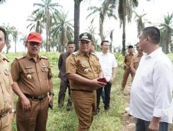 BERITA Pasar Natar di Revitalisasi, Bupati Lampung Selatan Siapkan Lahan Untuk Relokasi Sementara Pedagang