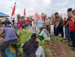 etua PMI Lampung Selatan Saksikan Acara Adat Bakar Batu, Tradisi Provinsi Papua di Perkemahan Jumbara PMR ke-IX