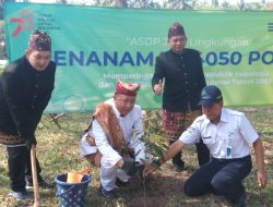Meriahkan HUT ke-78 RI, ASDP Gelar Aksi Tanam 4.050 Bibit Pohon di Seluruh Cabang