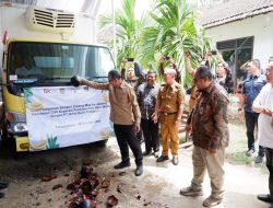 Dorong Pembiayaan Komoditas Pisang Mas, OJK dan TPAKD Provinsi Lampung Gelar Business Matching Pembiayaan Klaster Petani Pisang di Kabupaten Tanggamus