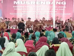 Jalan Patok Besi Usulan Prioritas di 2025, Nanang: Kita Bangun Tahun Ini